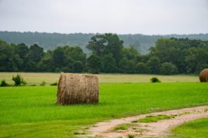 O.D. Butler Field Day will be on May 17 in Franklin