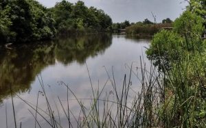 Lone Star Healthy Streams workshop set for May 16 in Angleton