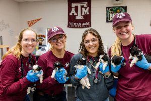 Texas A&M Veterinary Emergency Team Prepares For Next Major Disaster, Serves Fellow Texans