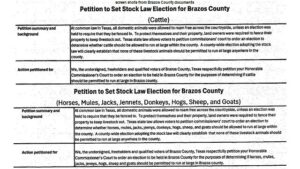 Results Of Two Brazos County Special Election Questions Are Ruled Invalid