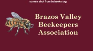 Brazos County Commissioners Asked To Adopt A Policy For The Live Removal Of Honeybee Colonies