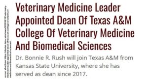 Texas A&M Announces A New Dean Of The Veterinary College