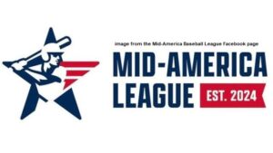 Another Summertime Collegiate Baseball Team Could Be Coming To The Twin Cities
