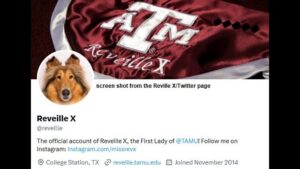 Reveille X Recovering From Eye Surgery